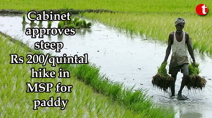 Cabinet approves steep Rs 200/quintal hike in MSP for paddy