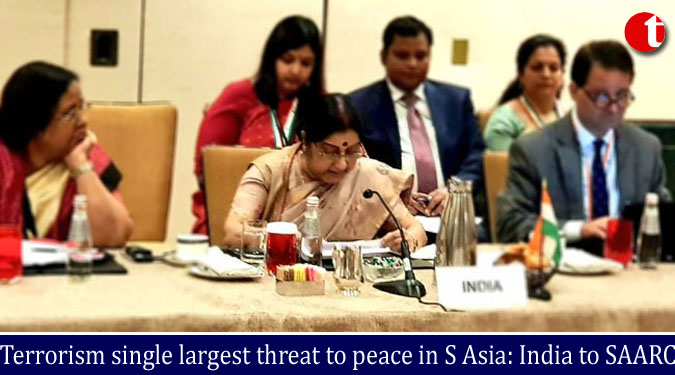 Terrorism single largest threat to peace in S Asia: India to SAARC
