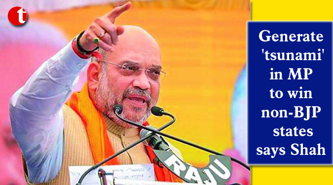 Generate 'tsunami' in MP to win non-BJP states says Shah