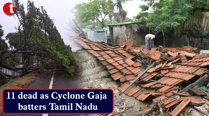 11 dead as Cyclone Gaja batters Tamil Nadu
