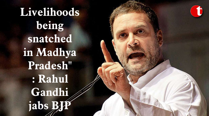 Livelihoods being snatched in Madhya Pradesh": Rahul Gandhi jabs BJP