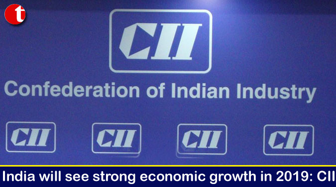 India will see strong economic growth in 2019: CII