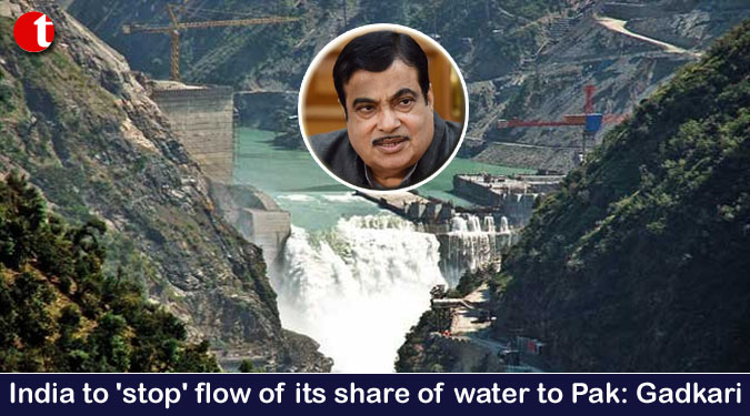 India to ‘stop’ flow of its share of water to Pak: Gadkari