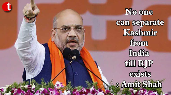 No one can separate Kashmir from India till BJP exists: Amit Shah