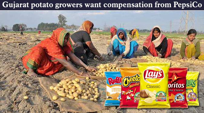 Gujarat potato growers want compensation from PepsiCo