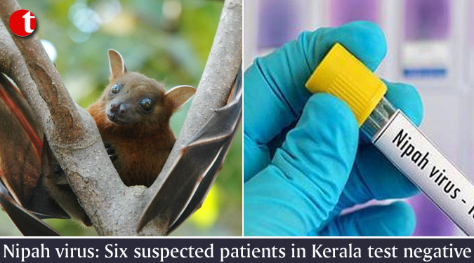 Nipah virus: Six suspected patients in Kerala test negative