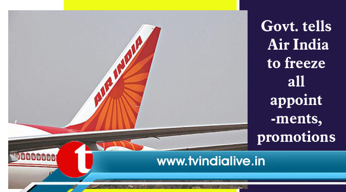 Govt. tells Air India to freeze all appointments, promotions