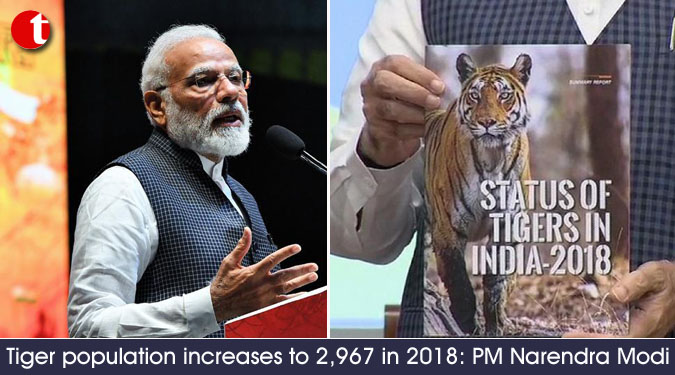 Tiger population increases to 2,967 in 2018: PM Narendra Modi