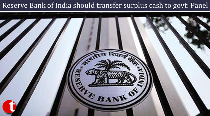 Reserve Bank of India should transfer surplus cash to govt: Panel