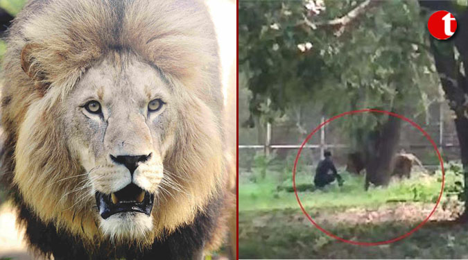 दिल्ली चिड़ियाघर में फिर गिरा शेर के पिंजरे में युवक, जानिए उसके बाद क्या हुआ ?