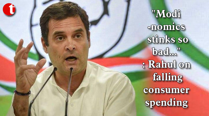 "Modinomics stinks so bad...": Rahul on falling consumer spending