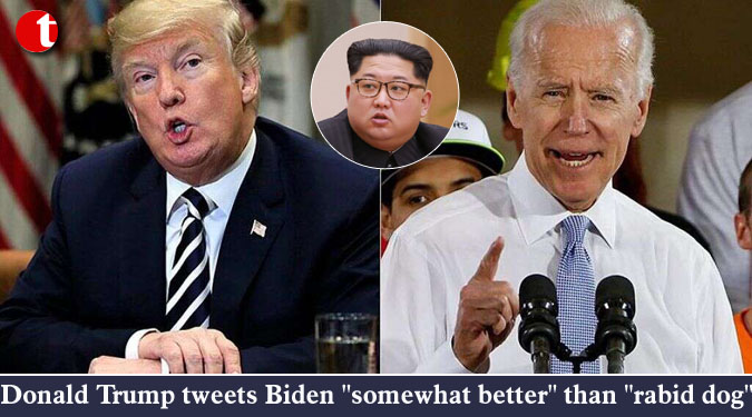 Donald Trump tweets Biden ''somewhat better'' than ''rabid dog''