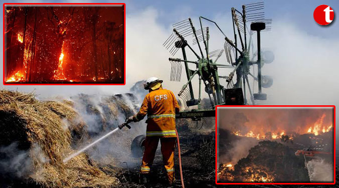 Australia bushfire crisis: 24 killed, over 6 mn hectares of land burned