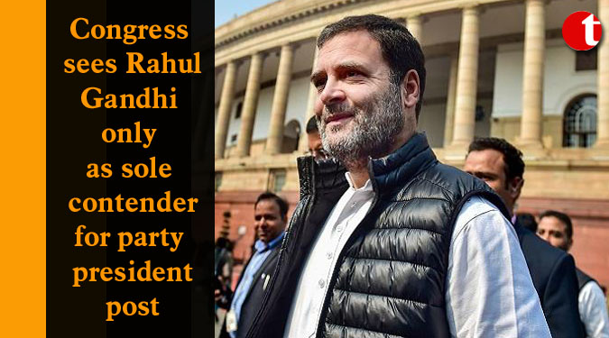 Congress sees Rahul Gandhi only as sole contender for party president post