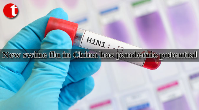 New swine flu in China has pandemic potential