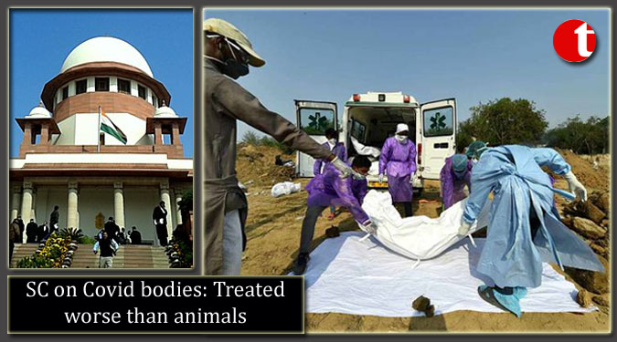 SC on Covid bodies: Treated worse than animals