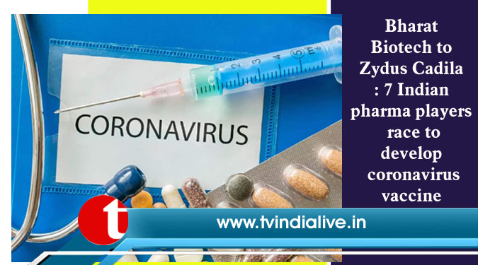 Bharat Biotech to Zydus Cadila: 7 Indian pharma players race to develop coronavirus vaccine