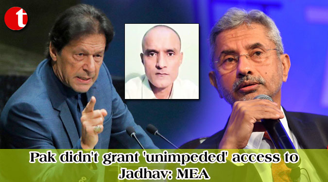 Pak didn't grant 'unimpeded' access to Jadhav: MEA