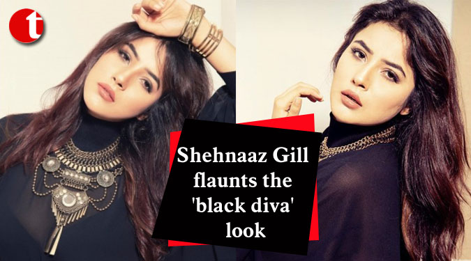 Shehnaaz Gill flaunts the 'black diva' look