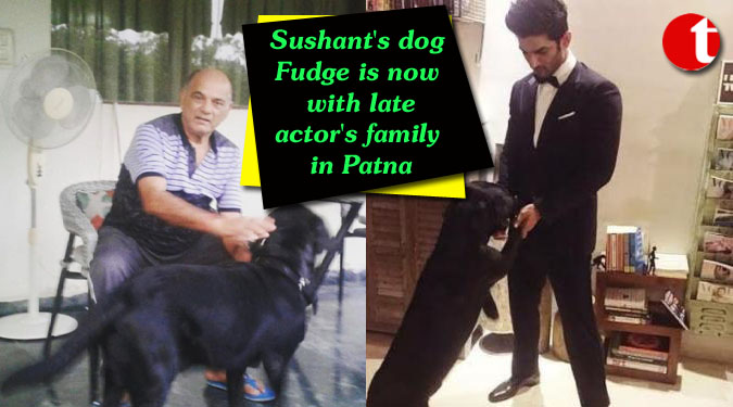 Sushant's dog Fudge is now with late actor's family in Patna