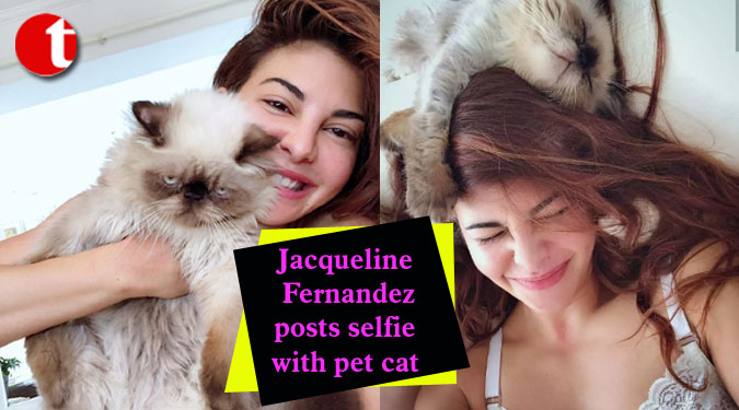 Jacqueline Fernandez posts selfie with pet cat