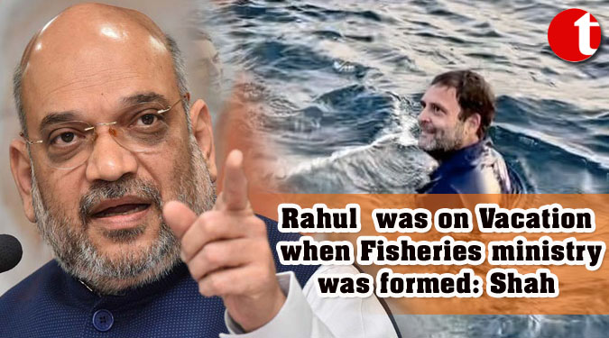 Rahul was on Vacation when Fisheries ministry was formed: Shah
