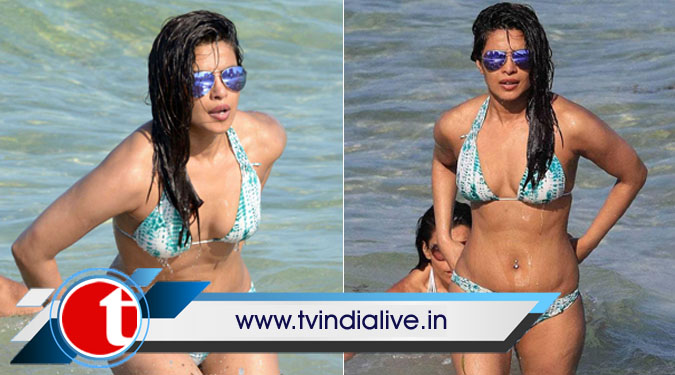 Priyanka Chopra received negativity from South Asians, too
