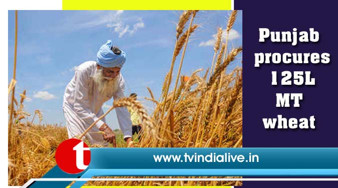 Punjab procures 125L MT wheat