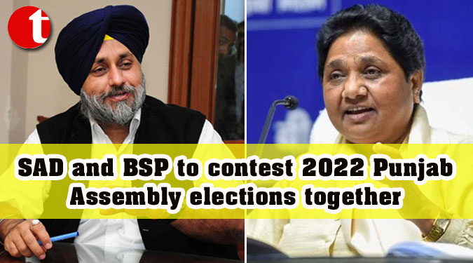 SAD and BSP to contest 2022 Punjab Assembly elections together