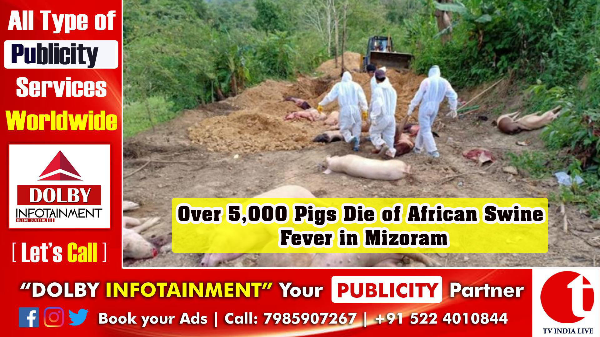 Over 5,000 Pigs Die of African Swine Fever in Mizoram