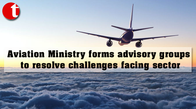 Aviation Ministry forms advisory groups to resolve challenges facing sector