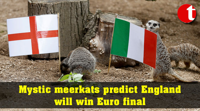 Mystic meerkats predict England will win Euro final