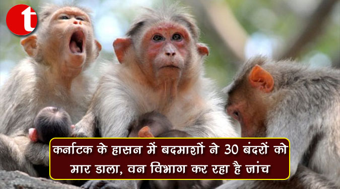 कर्नाटक के हासन में बदमाशों ने 30 बंदरों को मार डाला, वन विभाग कर रहा है जांच
