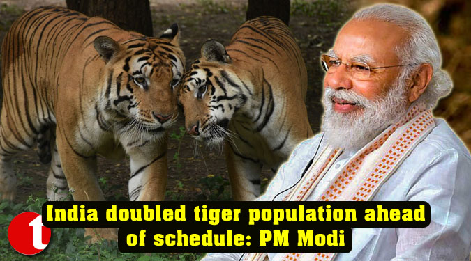 India doubled tiger population ahead of schedule: PM Modi
