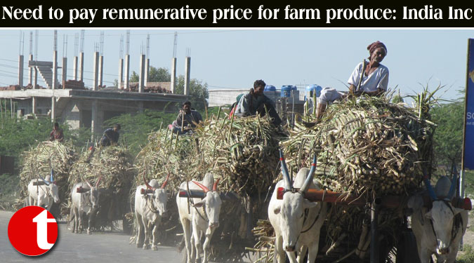 Need to pay remunerative price for farm produce: India Inc
