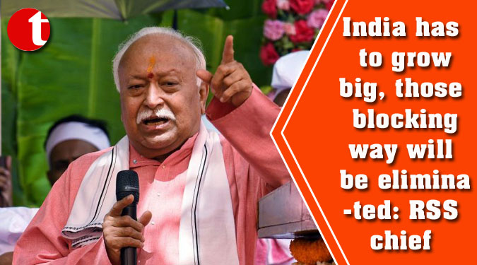 India has to grow big, those blocking way will be eliminated: RSS chief