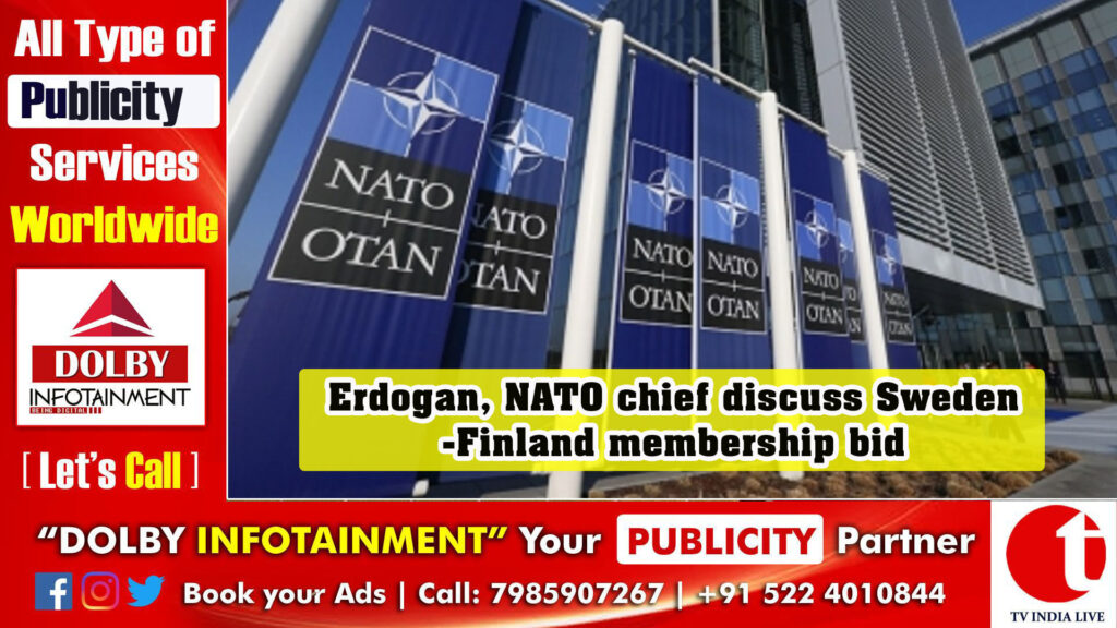Erdogan, NATO chief discuss Sweden-Finland membership bid