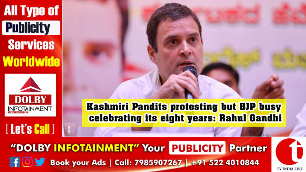 Kashmiri Pandits protesting but BJP busy celebrating its eight years: Rahul Gandhi