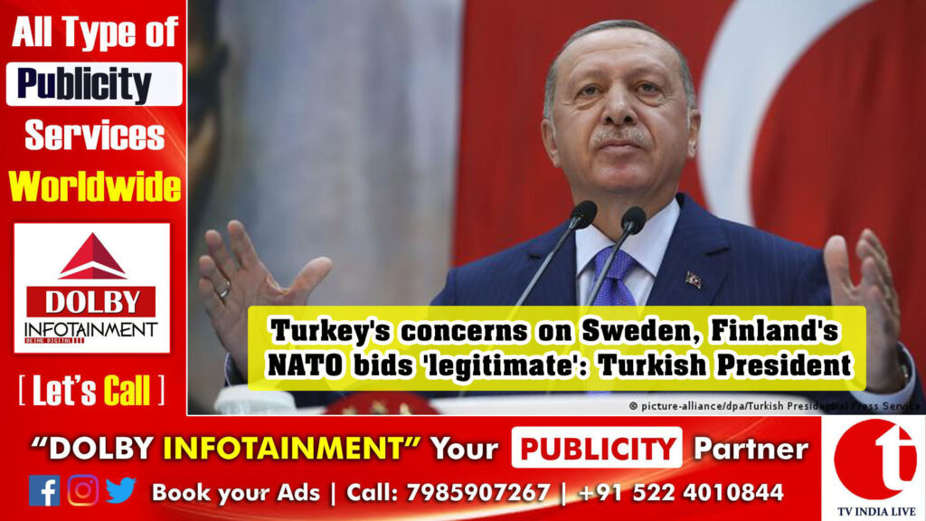 Turkey’s concerns on Sweden, Finland’s NATO bids ‘legitimate’: Turkish President