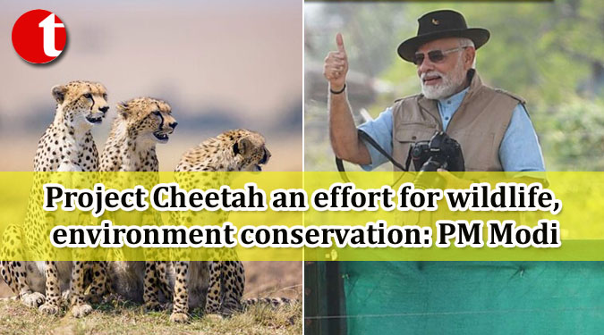 Project Cheetah an effort for wildlife, environment conservation: PM Modi