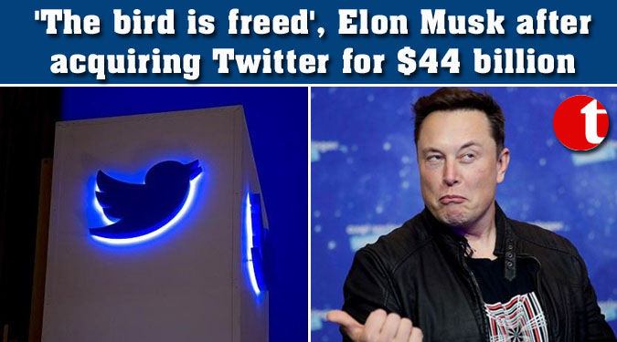 'The bird is freed', Elon Musk after acquiring Twitter for $44 billion