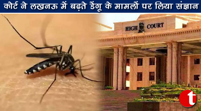 कोर्ट ने लखनऊ में बढ़ते डेंगू के मामलों पर लिया संज्ञान