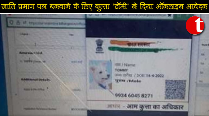 बिहार में जाति प्रमाण पत्र बनवाने के लिए कुत्ता ‘टॉमी’ ने दिया ऑनलाइन आवेदन