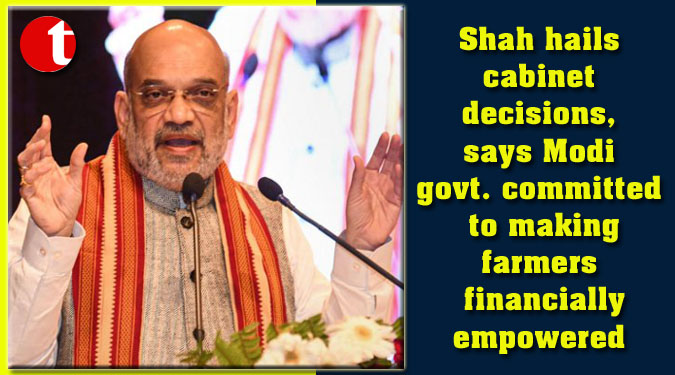 Shah hails cabinet decisions, says Modi govt. committed to making farmers financially empowered