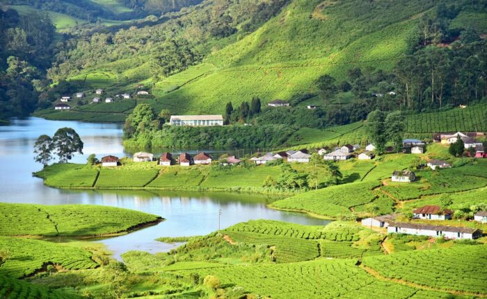 Places to visit in Munnar with family | Famous Tourist places