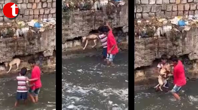 ‘Super heroes’: Netizens praise little boys for rescuing a dog