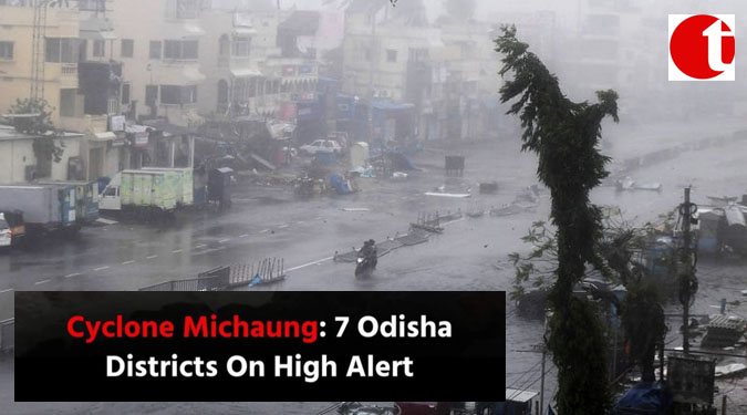 Cyclone Michaung: 7 Odisha Districts On High Alert