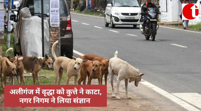 अलीगंज में वृद्धा को कुत्ते ने काटा, नगर निगम ने लिया संज्ञान