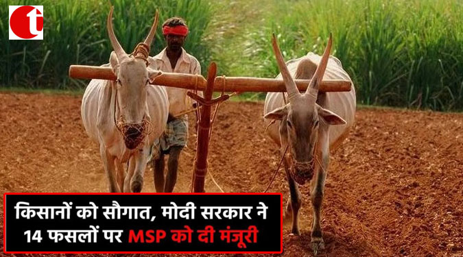 किसानों को सौगात, मोदी सरकार ने 14 फसलों पर MSP को दी मंजूरी
