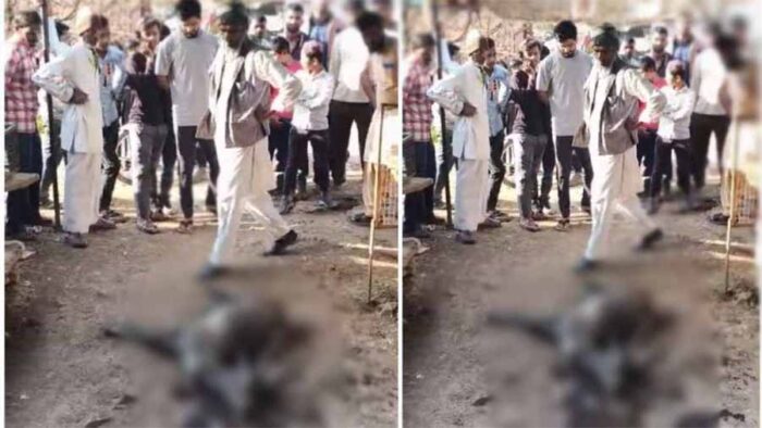 मृत अवस्था में मिला काला हिरण, क्षेत्र में फैली सनसनी